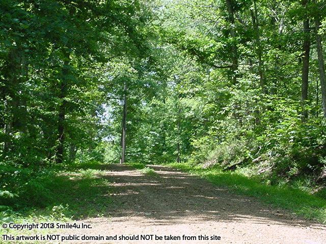 This 2.7 acres of heavily treed land for sale is a few minutes down the road from the boat ramp into Kentucky Lake about ten minutes from Murray, KY. It