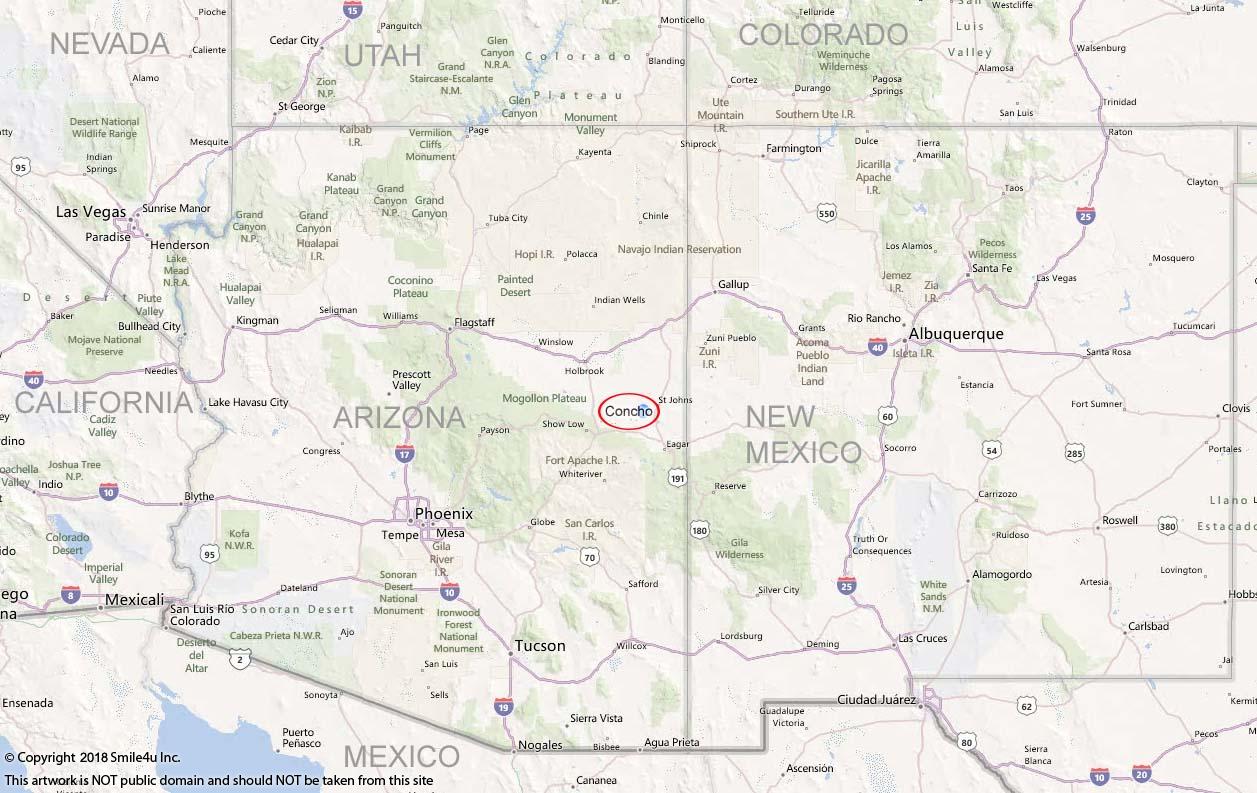 1.04 acre land for sale in Concho AZ | Smile4uinc.com
