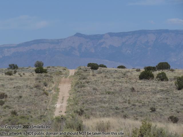 New Mexico Land for Sale